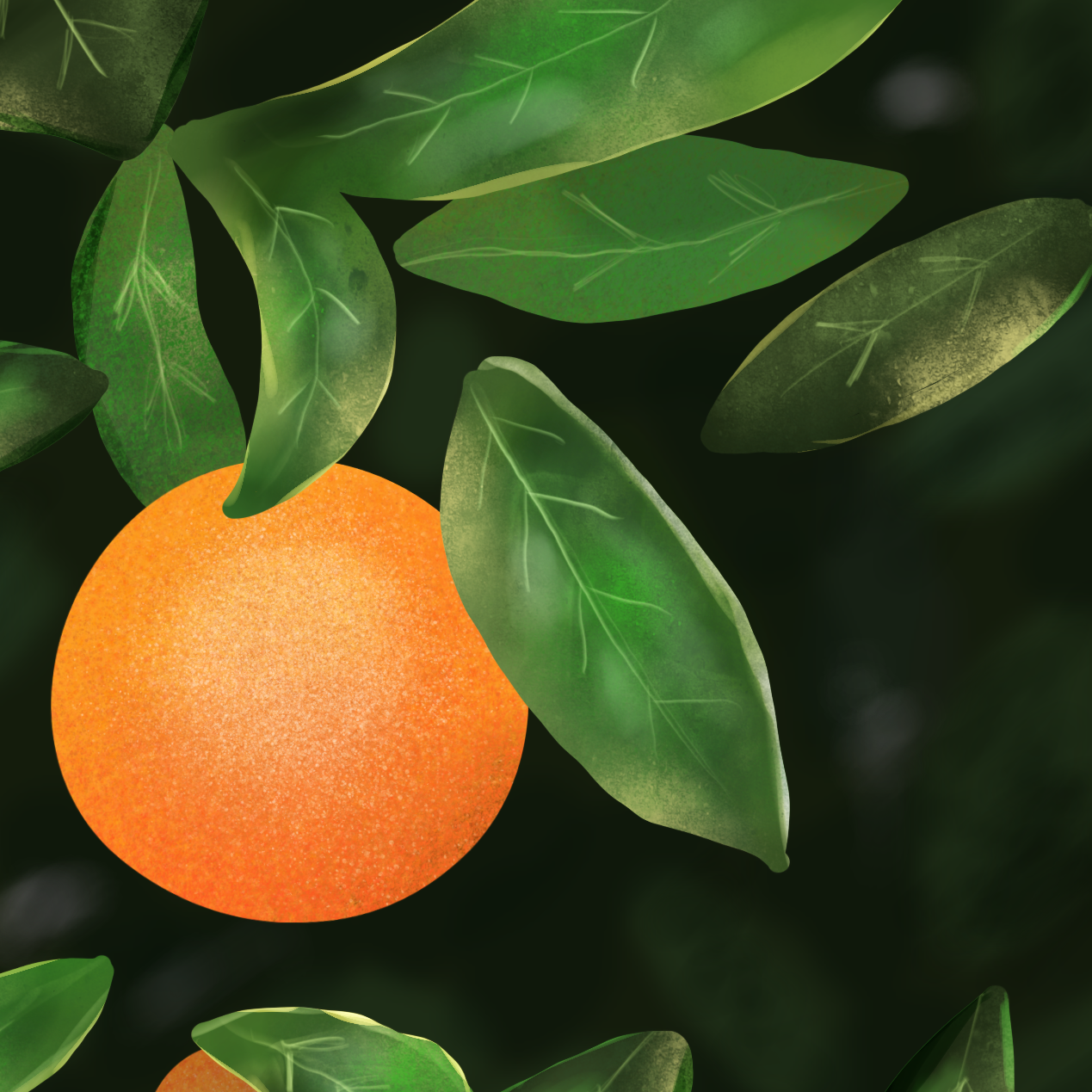 Inside an Orange Tree