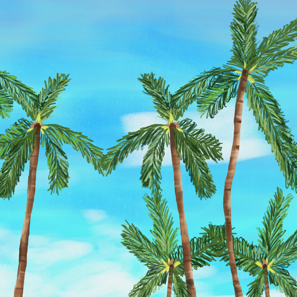 Palm Trees v2